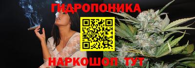 mdma Дубна
