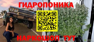 хмурый Донской