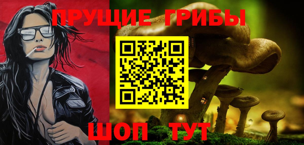 Малоярославец  Псилоцибиновые грибы мицелий  Псилоцибиновые грибы прущие грибы  Вход с VPN 
